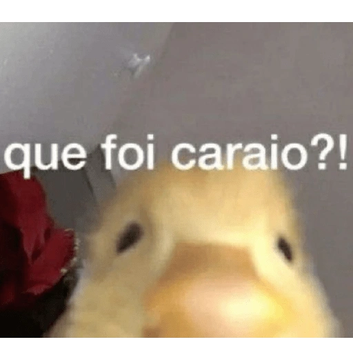 Figurinha de Pra zoar seus amigos (7 de 10)