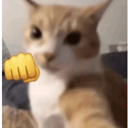 Figurinha de RAIVA 😡 para WhatsApp (1 de 15)