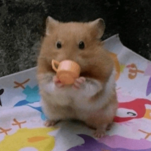 Figurinha de ratinho reativo 🐭 (6 de 17)
