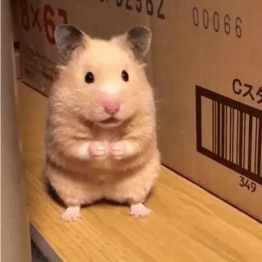 Figurinha de ratinho reativo 🐭 (8 de 17)