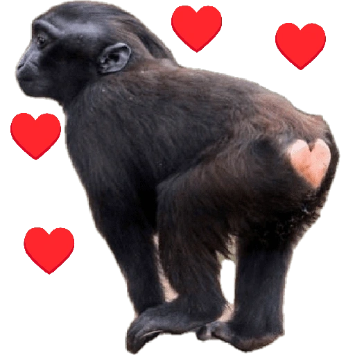 Figurinha de Reações de amor (15 de 15)