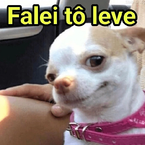 Figurinha de Reações Dogs & Cats🐱🐶 (2 de 15)