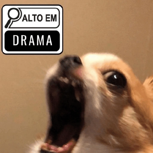 Figurinha de Reações Dogs & Cats🐱🐶 (10 de 15)