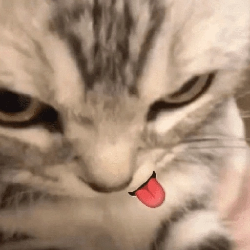 Figurinha de Reações Dogs & Cats🐱🐶 (15 de 15)