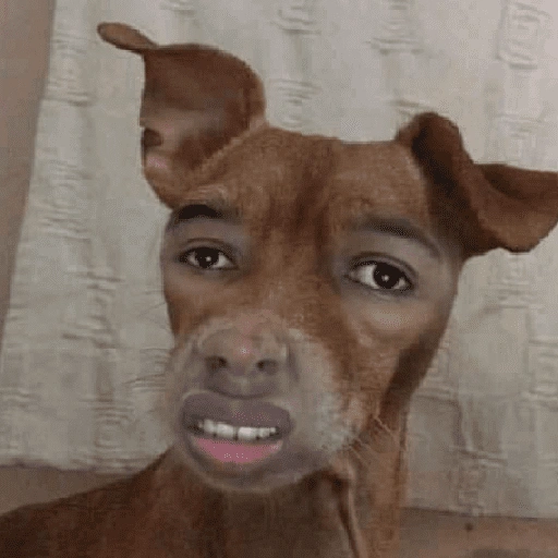Figurinha de Reações dos animais 😂🫵 para WhatsApp (3 de 15)