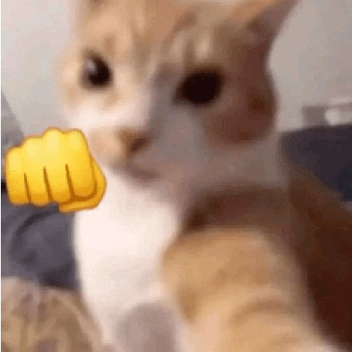 Figurinha de Reações dos animais 😂🫵 para WhatsApp (6 de 15)