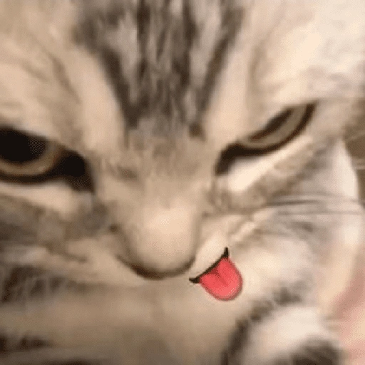 Figurinha de Reações dos animais 😂🫵 para WhatsApp (7 de 15)