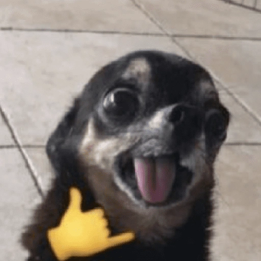 Figurinha de Reações dos animais 😂🫵 para WhatsApp (11 de 15)