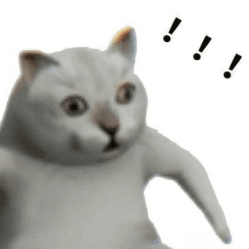 Figurinha de Reações gatos para WhatsApp (15 de 16)