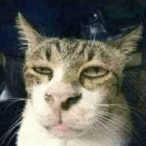Figurinhas de Reações gatos para WhatsApp