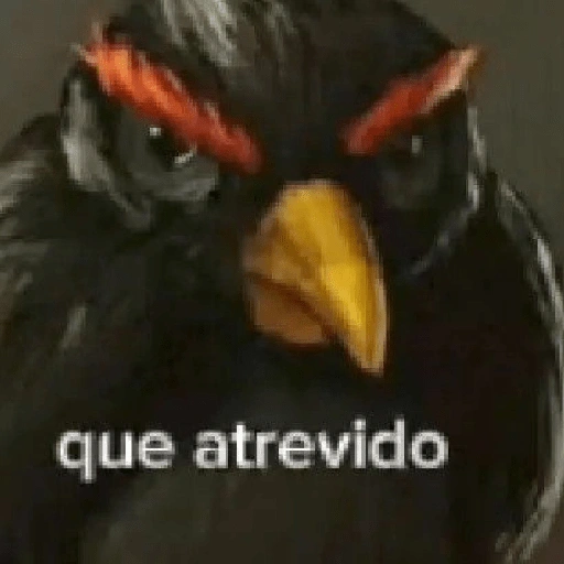 Figurinha de Reações. | @ocenferios  𝐇aki. (9 de 10)