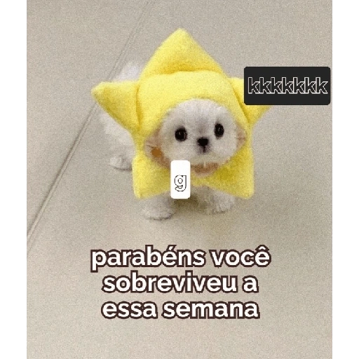 Figurinha de Sextou (5 de 16)