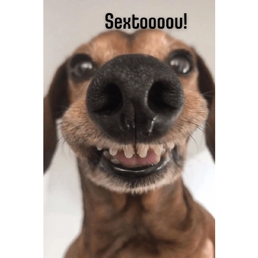 Figurinha de Sextou (9 de 16)