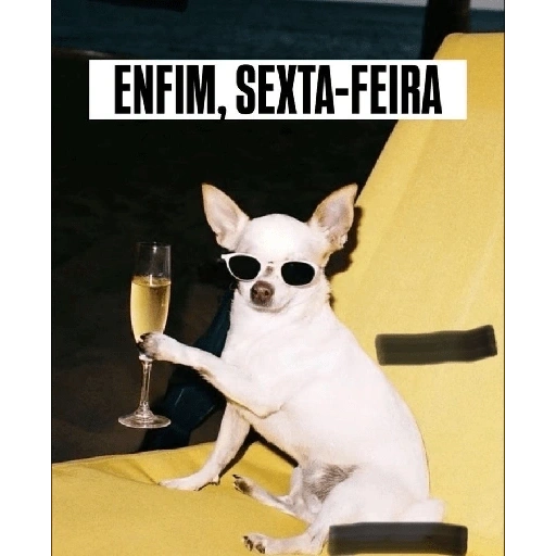Figurinha de Sextou (10 de 16)