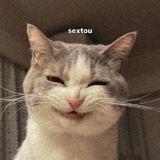 Figurinha de Sextou (14 de 16)