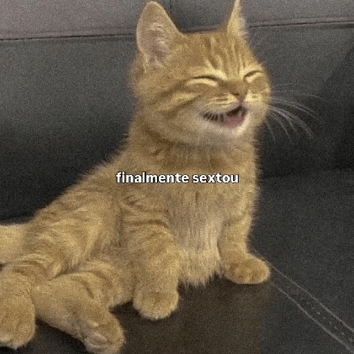 Figurinha de Sextou (15 de 16)