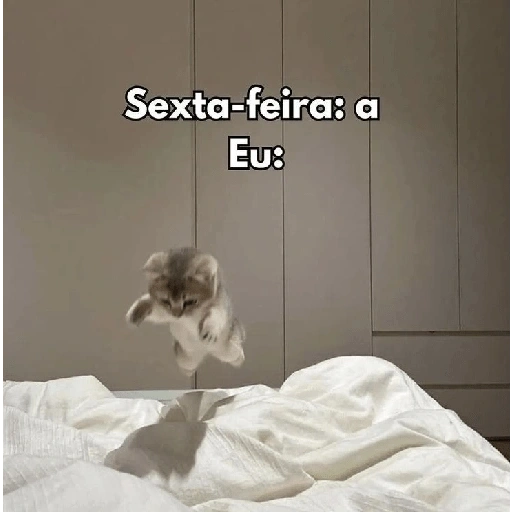 Figurinha de Sextou (16 de 16)
