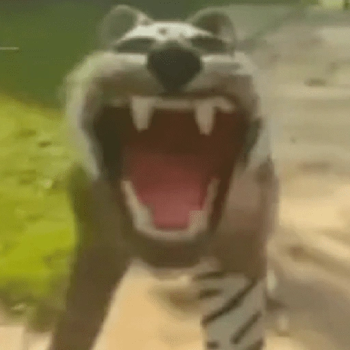 Figurinha de SHITPOST 😈 para WhatsApp (1 de 18)