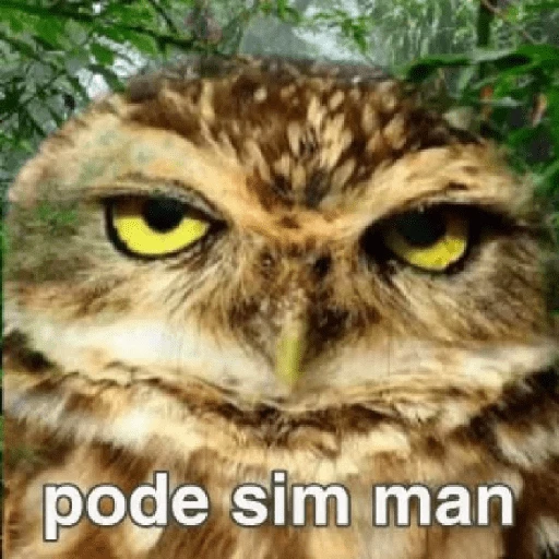 Figurinha de SHITPOST 😈 para WhatsApp (11 de 18)