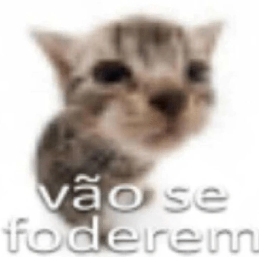 Figurinha de shitposts pra respostas para WhatsApp (10 de 15)