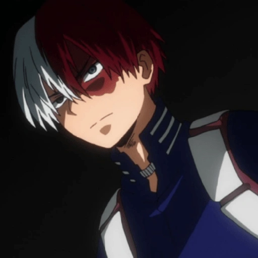 Figurinha de shoto todoroki anime (13 de 18)