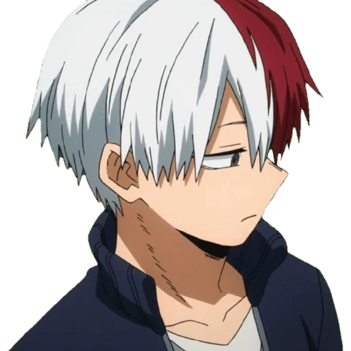 Figurinha de shoto todoroki anime (15 de 18)
