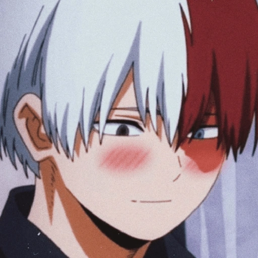 Figurinha de shoto todoroki anime (16 de 18)