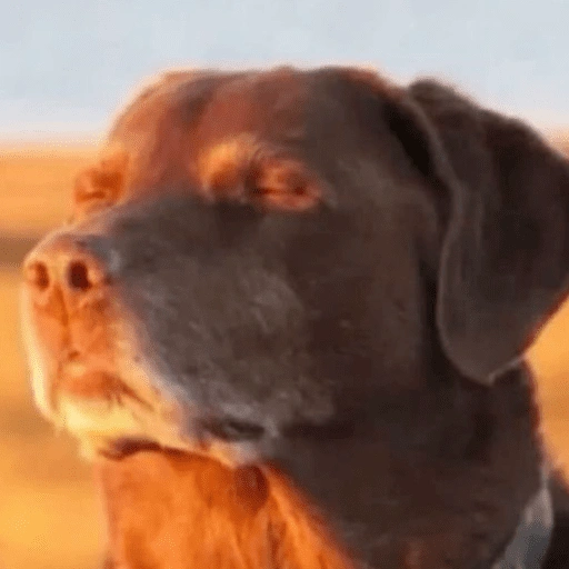 Figurinha de tiktok memes🫣 para WhatsApp (4 de 15)