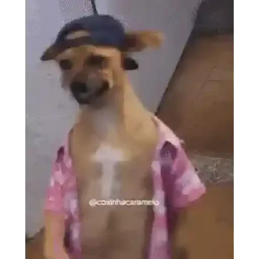 Figurinha de Tiktok Viral pack para WhatsApp (3 de 15)