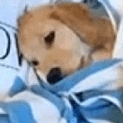 Figurinha de TRISTEZA 😔 para WhatsApp (4 de 15)