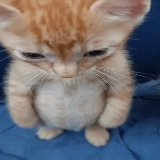 Figurinha de TRISTEZA 😔 para WhatsApp (11 de 15)